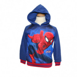 Sweat à capuche Garçon -...