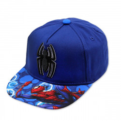 Casquette visière plate...