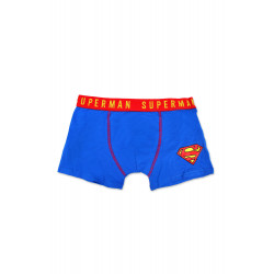 Boxer Superman